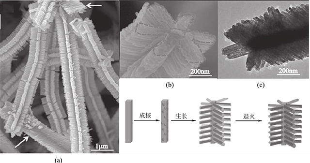 Fe2O3/SnO2異質(zhì)納米結(jié)構的形成機理和形貌